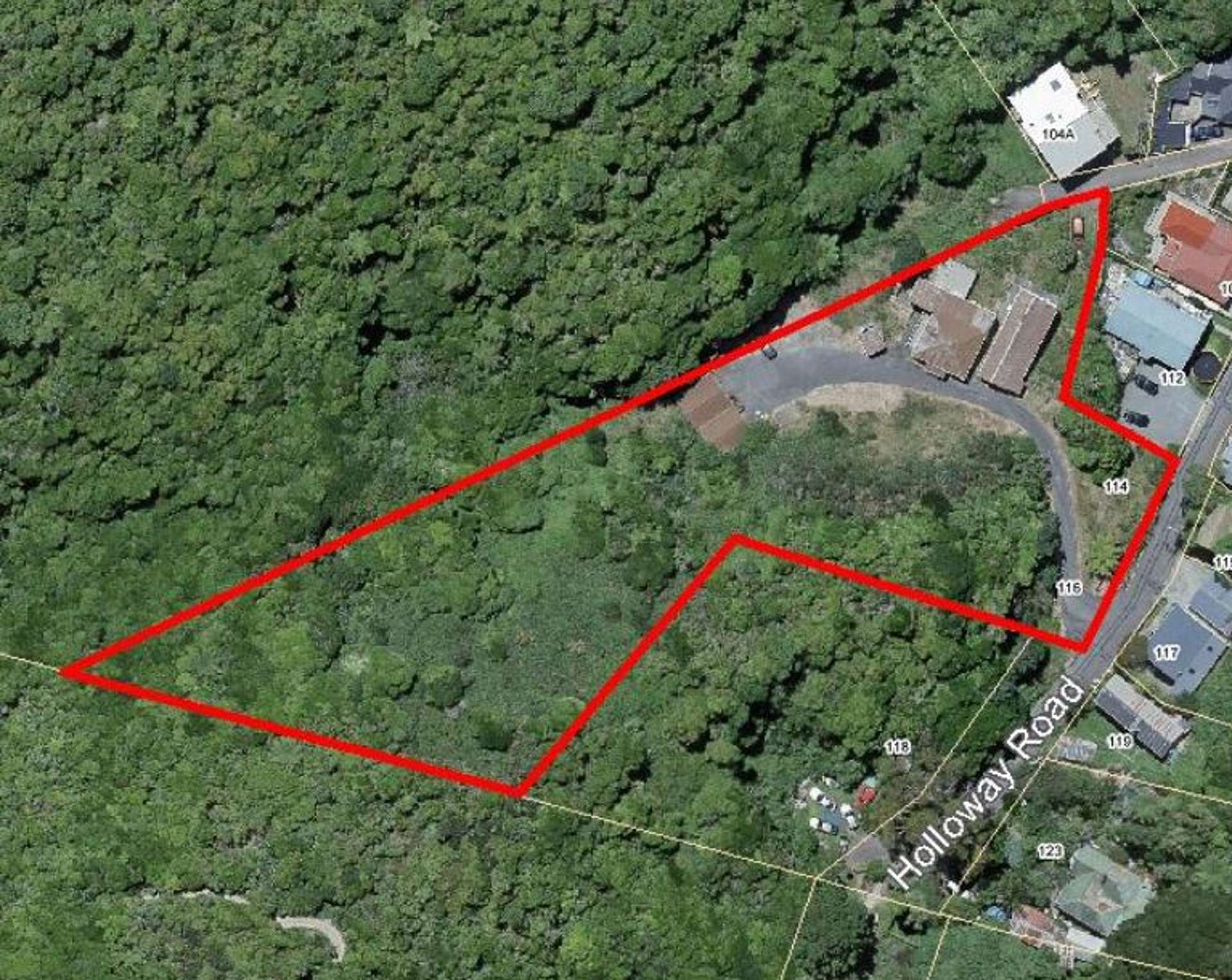 114 & 116 Holloway Road Aro Valley_0