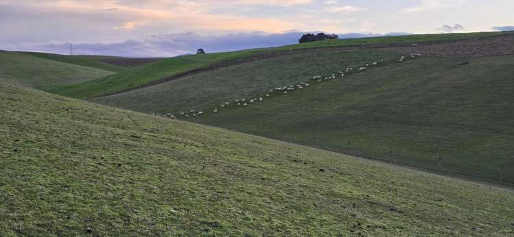 74 Esler Road Pleasant Point_13