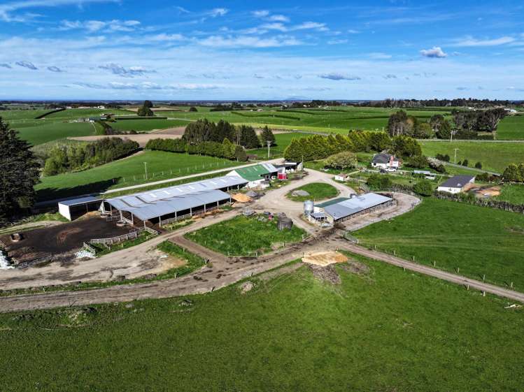 539. Mataura Island Fortrose Road Pine Bush_7