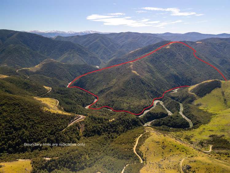 Tuscany Downs - 74 Glentui Bush Road Oxford_1