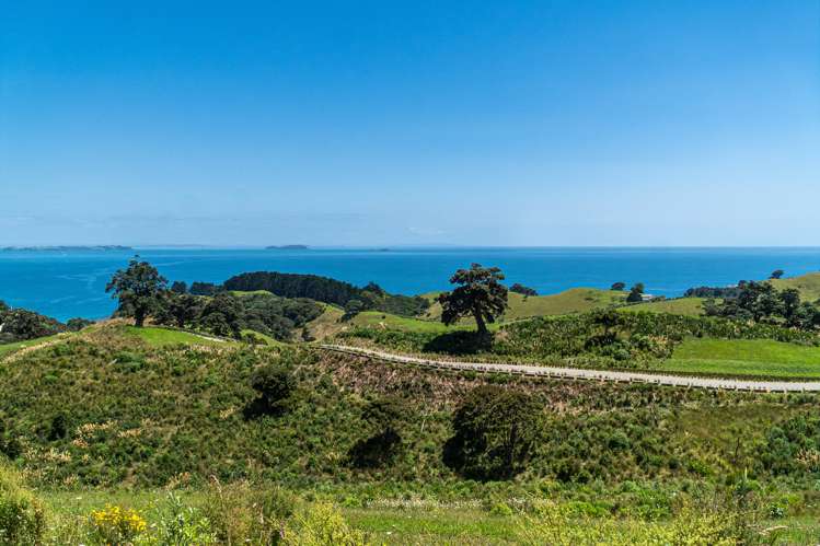 5 Tukere Lane Waiheke Island_9