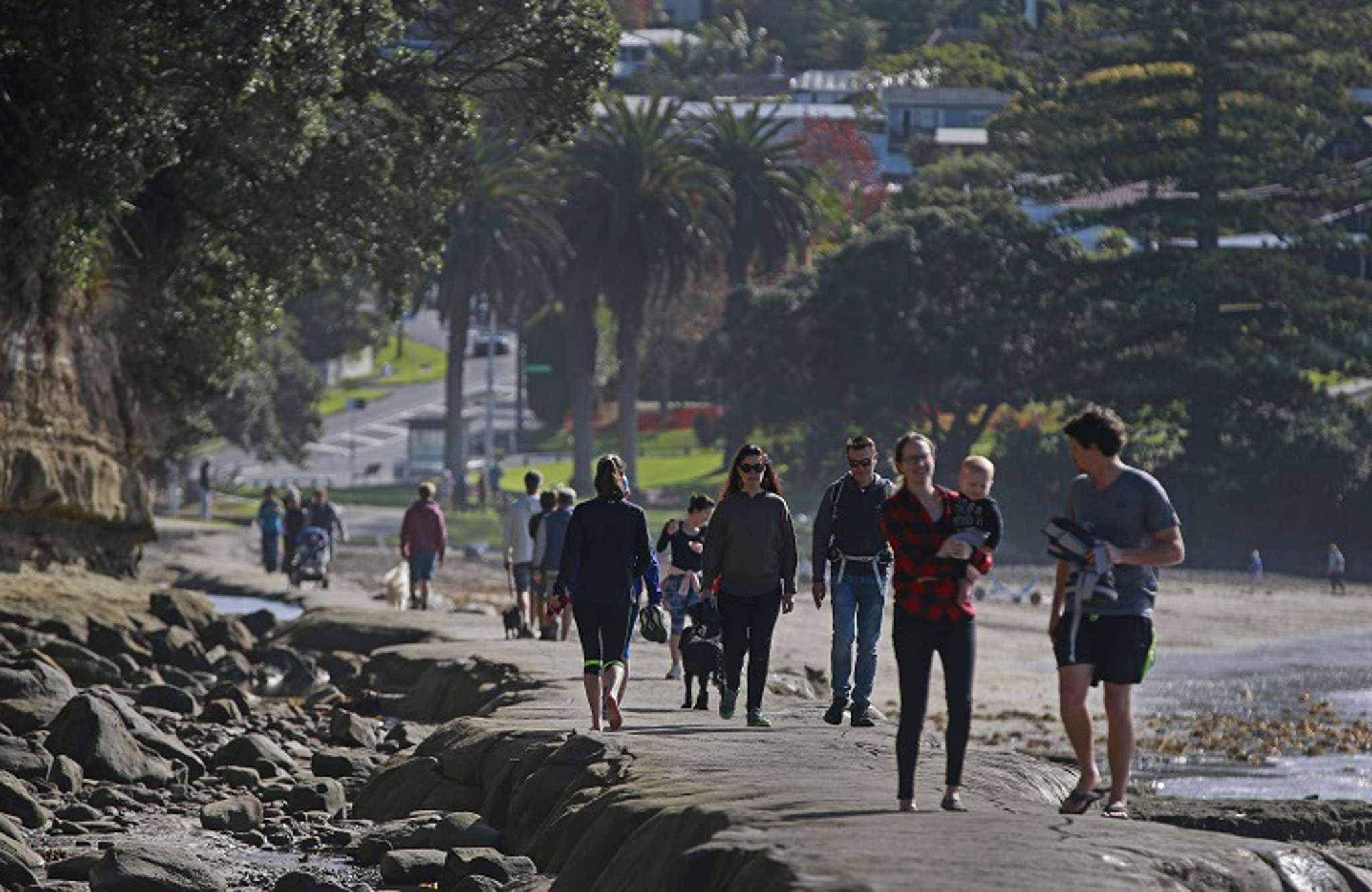 Auckland’s hottest growth suburbs revealed