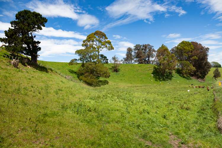 Waotu Road Putaruru_14