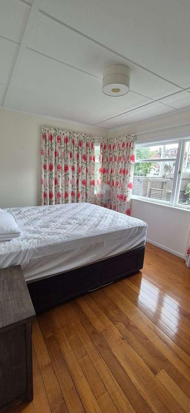 22A Maitland Street Greerton_4