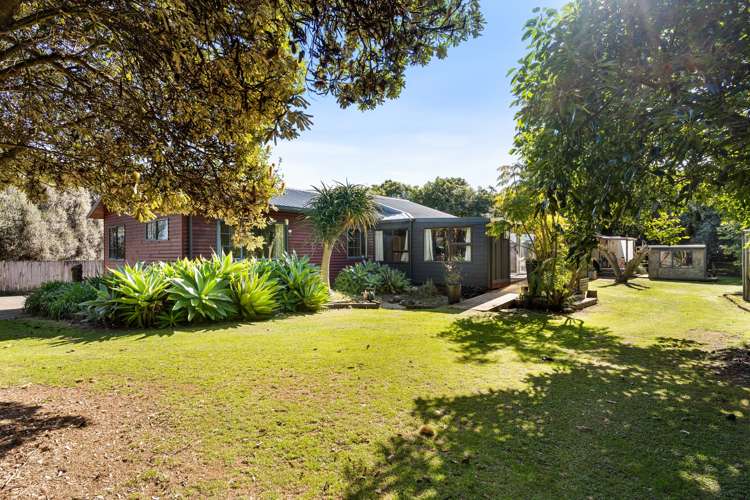 160 Young Road Paengaroa_6