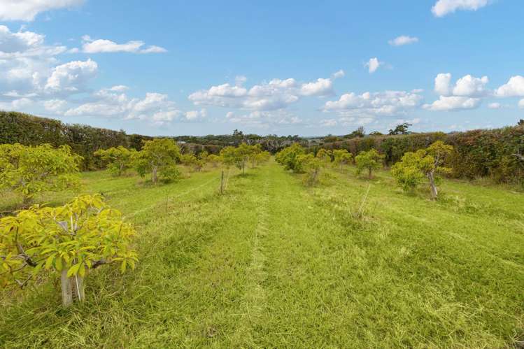 71 Mahana Road Waimauku_9