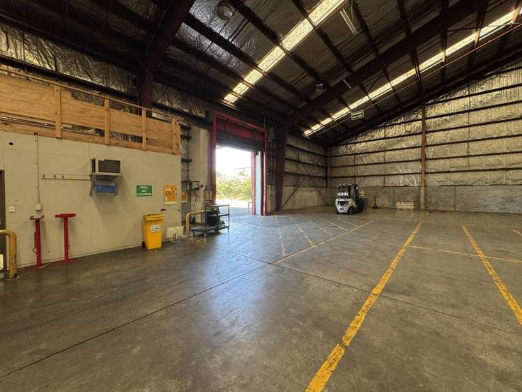 476 Jackson Street Petone_3