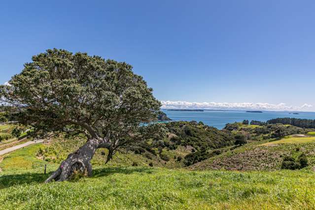 306 Sea View Road - Wawata Estate Waiheke Island_4