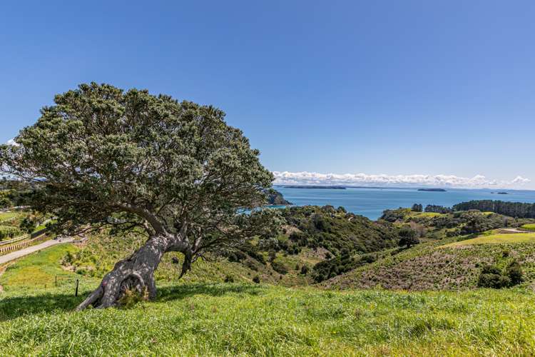 306 Sea View Road - Wawata Estate Waiheke Island_3