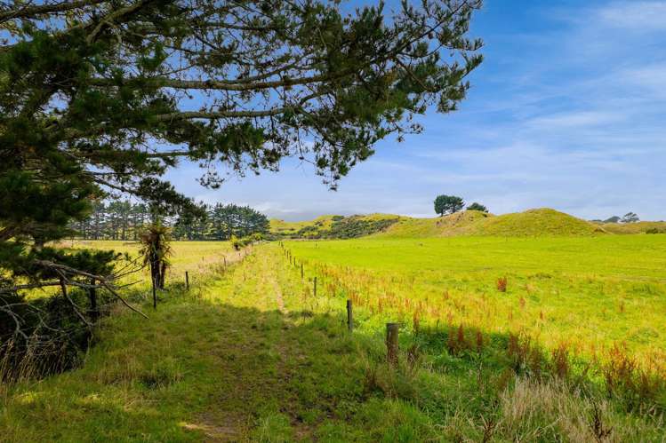 955 Opua Road Opunake_43