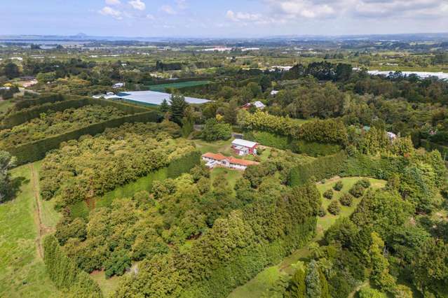 232 Wharawhara Road Aongatete_3