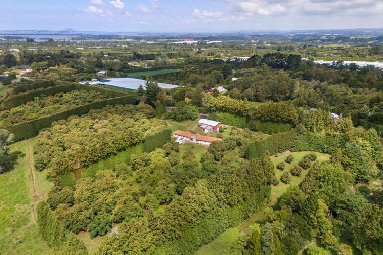 232 Wharawhara Road Aongatete_3