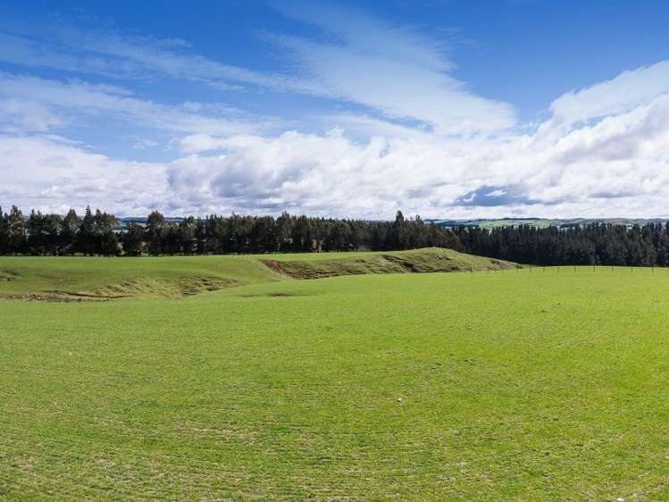 1680 Mahinerangi Road Waipori_21