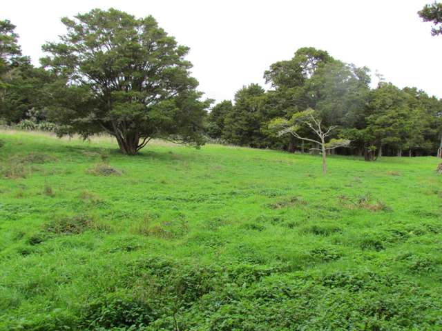 Carruth Road Poroti_3