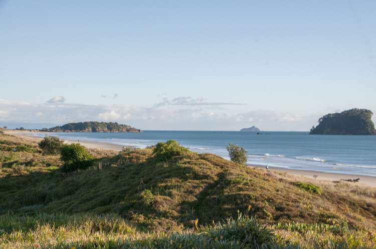 42g Miro Street Mount Maunganui_18