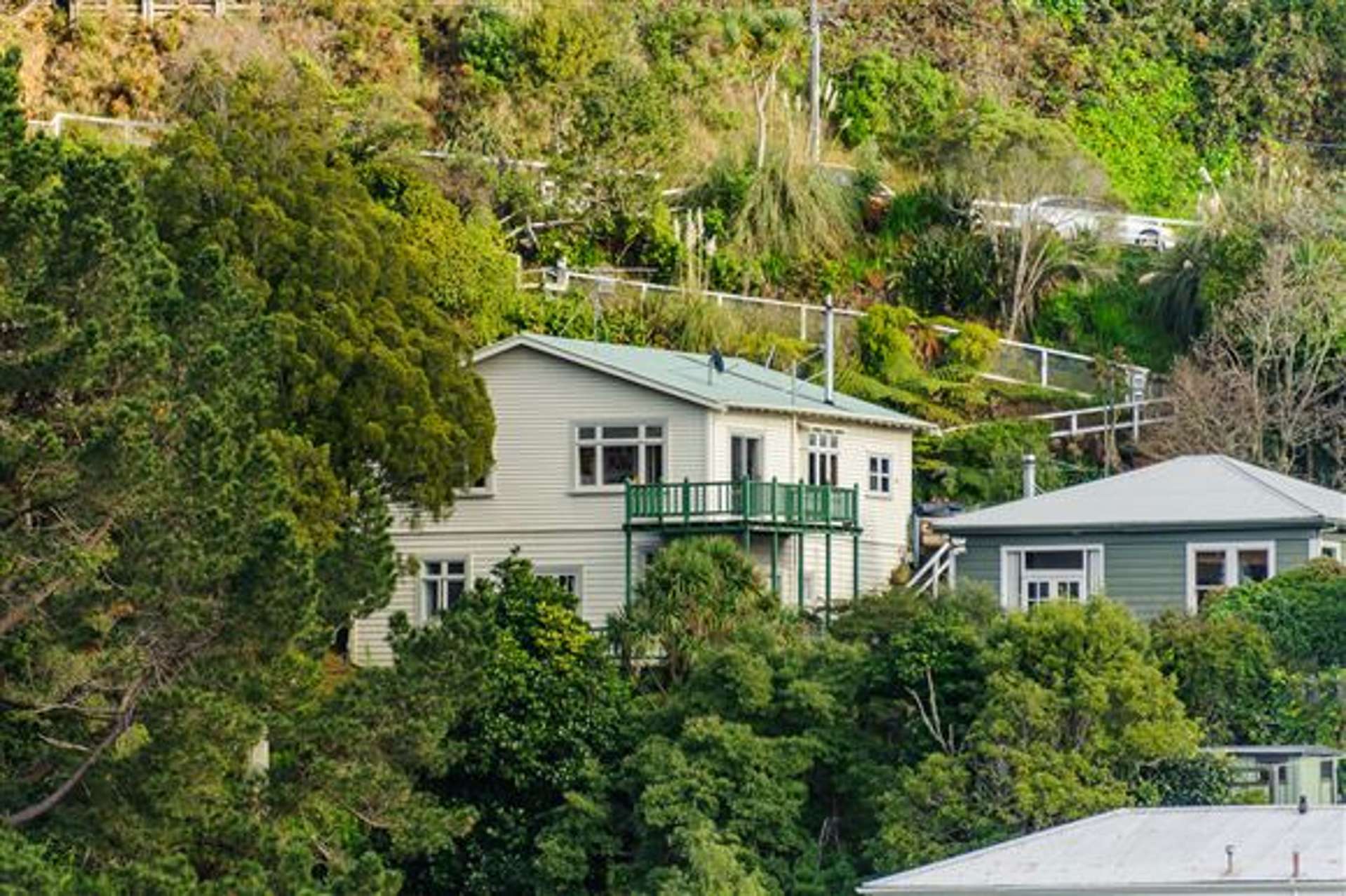 33 Mortimer Terrace Aro Valley_0