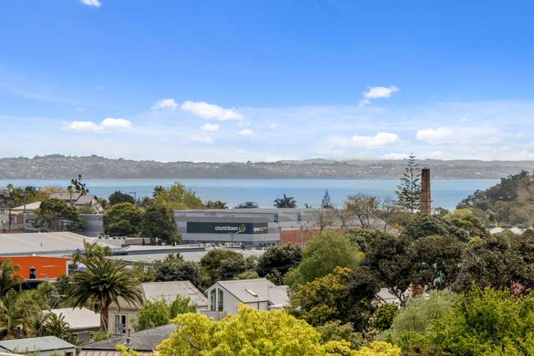 21b Farrar Street Grey Lynn_16