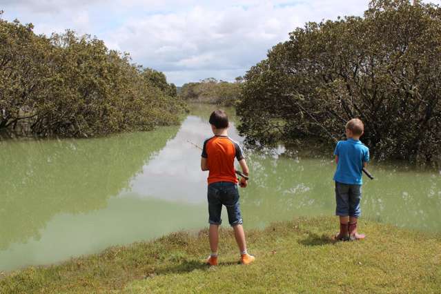 4127 Kaipara Coast Highway Wellsford_2