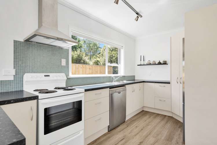 18 Cawthron Crescent Annesbrook_6