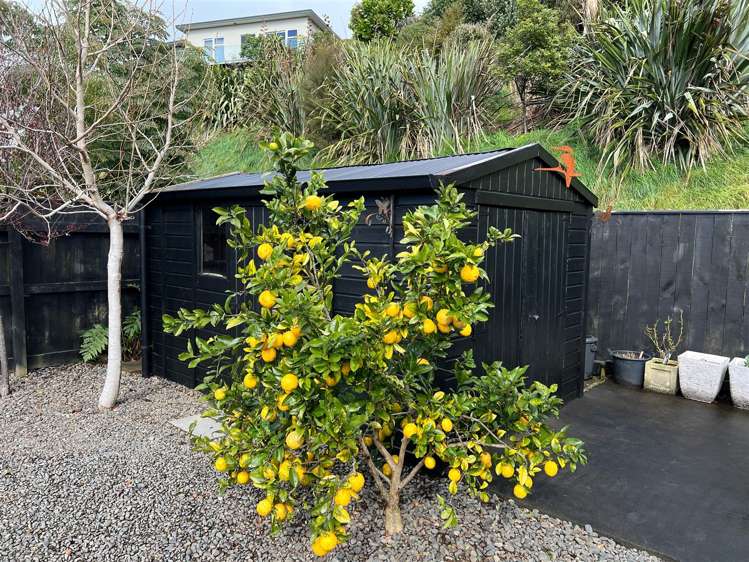 28 Fernbrook Drive Hurworth_22