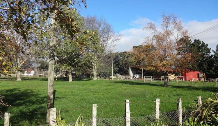 134 Millars Road Longbush_8