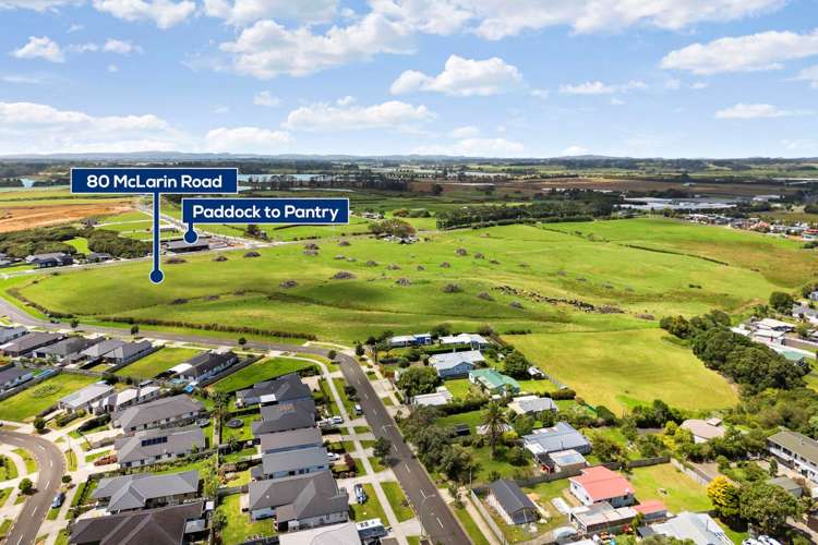 80 McLarin Road Glenbrook_13