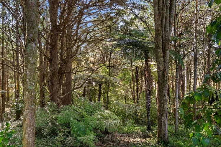 621 Tokiri Road Titoki_15