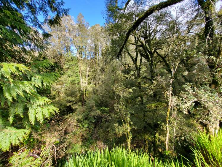 774 Atarau Road Atarau_12