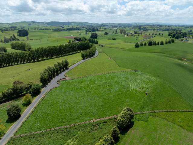 117 Manion Lane Morrinsville_4