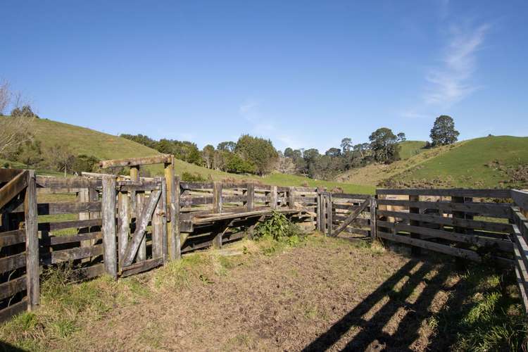 231 Walford Road Aongatete_23