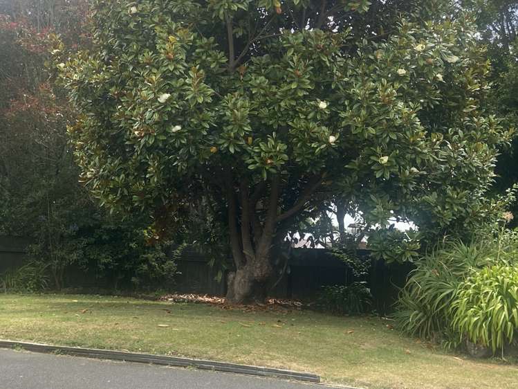 Address withheld 10334_11