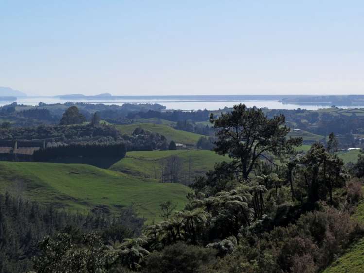 665 Minden Road Wairoa_2