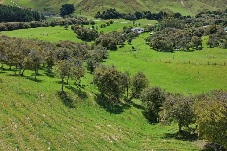 455 Anaroa Road Raukawa_5