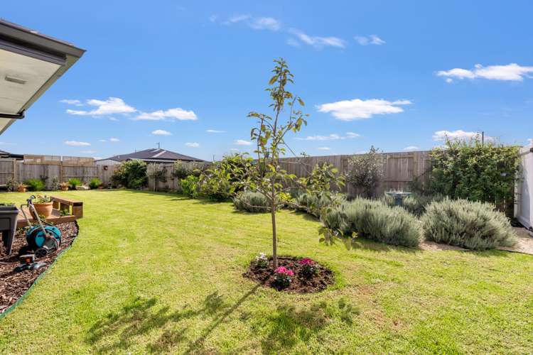 4 Te Taniwha Road One Tree Point_22