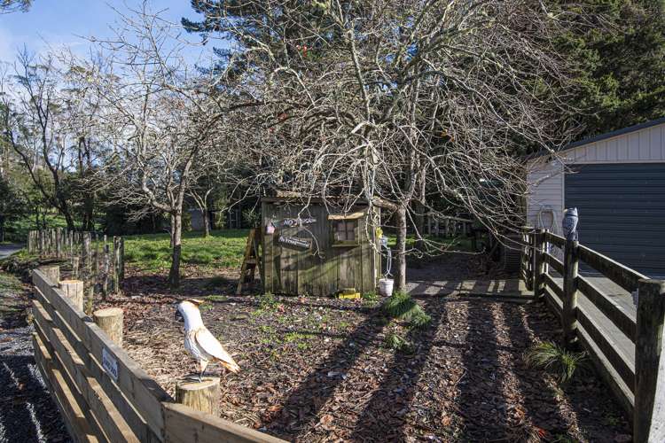 587b Crane Road Kauri_31