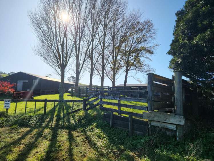 336 Dominion Road Tuakau_15