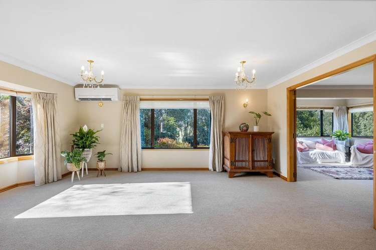 102 Tricketts Road West Melton_10