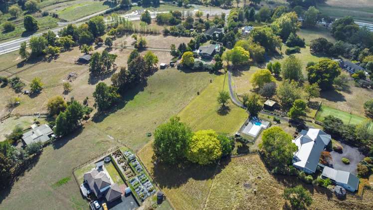 29 Peacockes Lane Peacocke_15