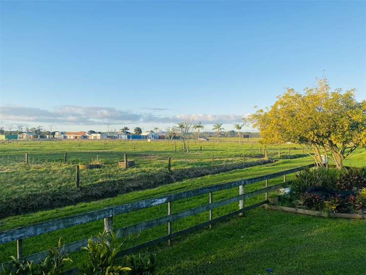 593 State Highway 1 Awanui_35