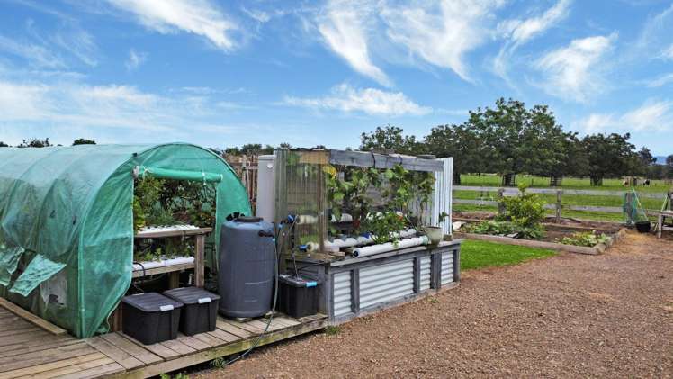 110 Lambert Road Putauaki_10