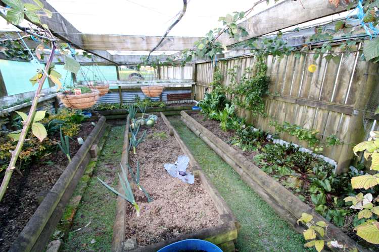 76538 State Highway 2 Rangitikei Surrounds_25