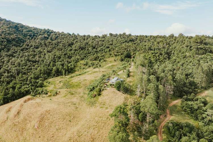 State Highway 12 Waimamaku_18