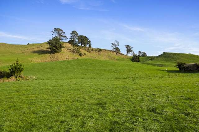 1234 Richmond Road Everett Park_4