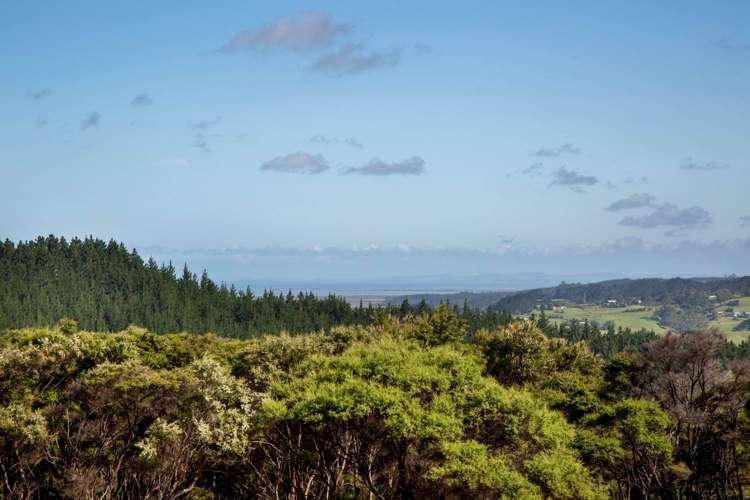 319e Wishart Road Helensville_3