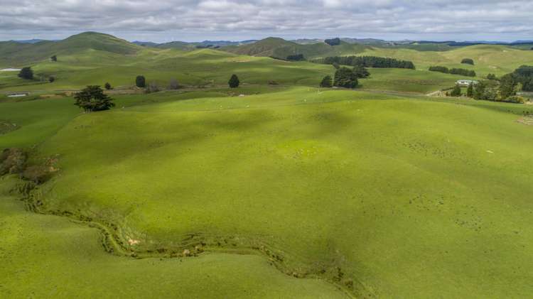 10284 Route 52 Pongaroa_18