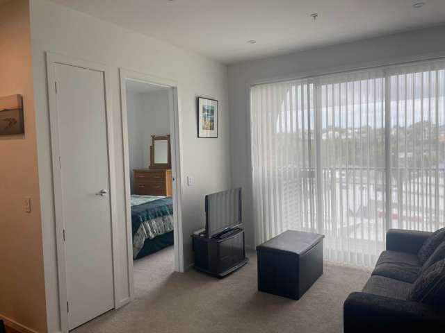 503/1817A Great North Road Avondale_1