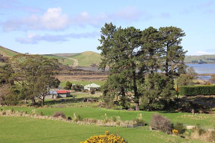 342 Niagara Waikawa Road Catlins Surrounds_13