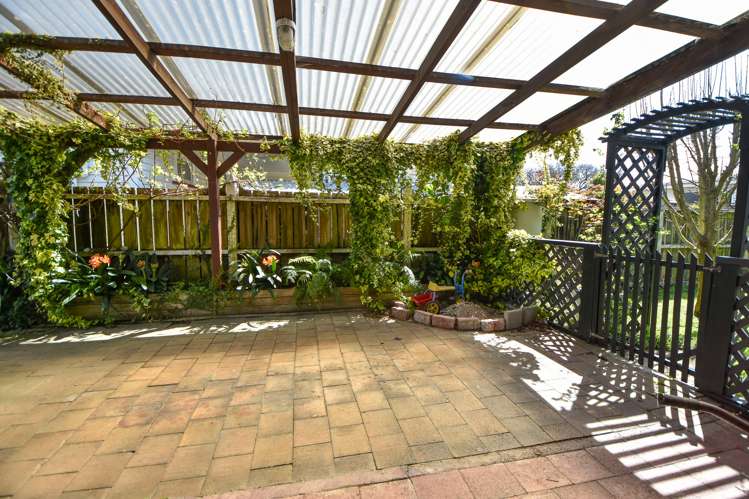 8 Davy Street Carterton_19