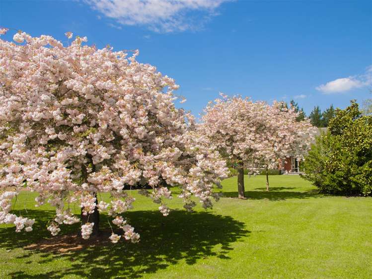 104 Winter Road Swannanoa_29