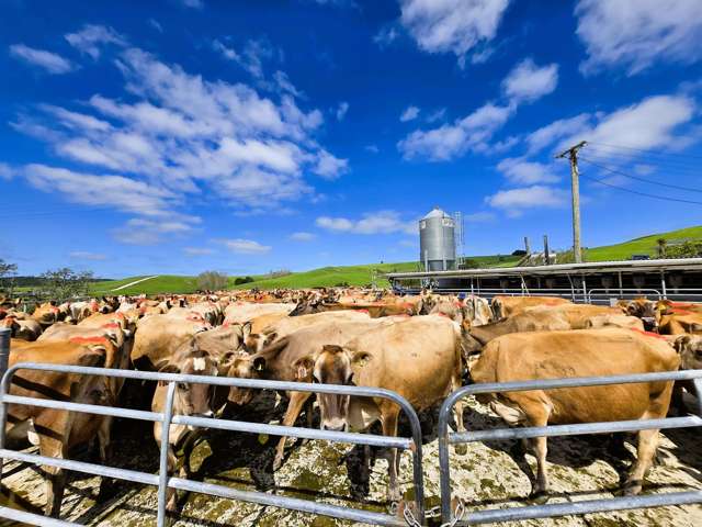 213 Lindquist Road Ararua_1